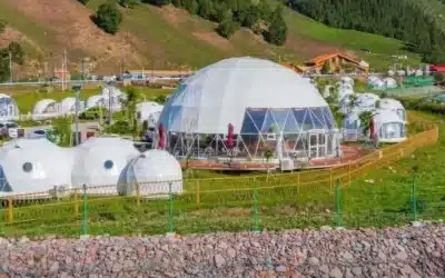 Green Travel: Best Eco-Friendly Tourism Products