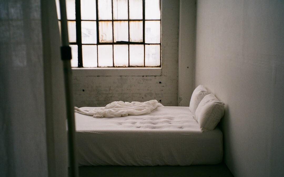Photo Capsule Beds